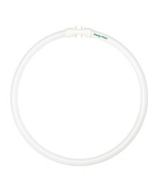 Bulbrite 520122 | 12 Watt Fluorescent Circline T5 Bulb, 800 Series