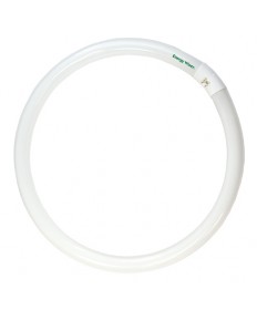 Bulbrite 502116 | 16 Watt Fluorescent Circline T9 Bulb, G10q Base