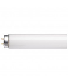 Satco S26571 F30T12/CW 30 Watts Fluorescent Light Bulb