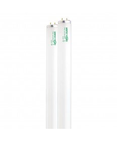 Satco S6648 F40T12/CWX/2PK 40 Watts Fluorescent Light Bulb