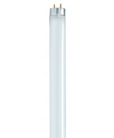 Satco S8421/TF F32T8/850/ENV/TF SHATTER 32 Watts Fluorescent Light