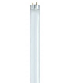 Satco S8421/TF F32T8/850/ENV/TF SHATTER 32 Watts Fluorescent Light