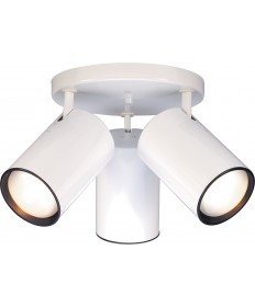 Nuvo Lighting SF76/422 3 Light R30 Straight Cylinder