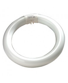 Halco 37510 FC16T9CW 40W FC16 T9 16IN CIRCLINE COOL WHT