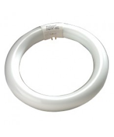 Halco 37501 FC8T9CW 22W FC8 T9 8IN Circline Cool White