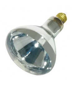 Satco S4999 250W R40 Heat Lamp 120 Volt Medium Base Clear Light Bulb