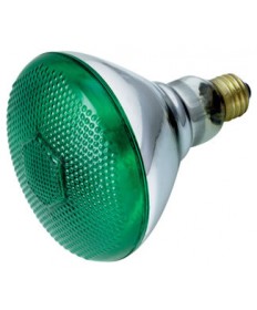 Satco S5005 Satco 100BR38/G 230V 100 Watt 230 Volt BR38 Medium Base Green Weatherproof Reflector Flood