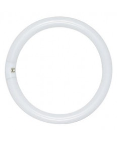 Satco S2950 Satco FC6T9/WW 20 Watt T9 4 Pin Base Warm White Circline Fluorescent Light Bulb