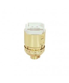 Satco 80/1228 Satco 13 Watt Bright Gilt Socket