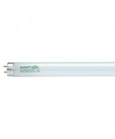 Satco S8430 F32T8/865/HL/ENV 32 Watt T8 48 inch Medium BiPin 6500K Florescent Bulb