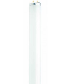 Satco S6566 Satco F20T12/D 20 Watt T12 24 inch Medium Bi Pin Base Daylight Fluorescent Tube/Linear Lamp