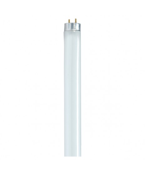 Fluorescent Light Bulbs