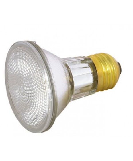 Capsylite par20 shop