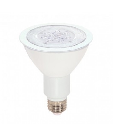 Flood LED Light Bulbs