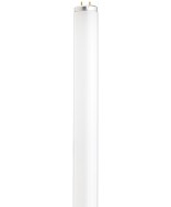 Satco S26565 F20T12/CW 20 Watts Fluorescent Light Bulb