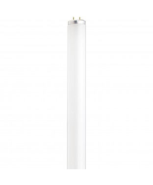 F14t12 bulb shop