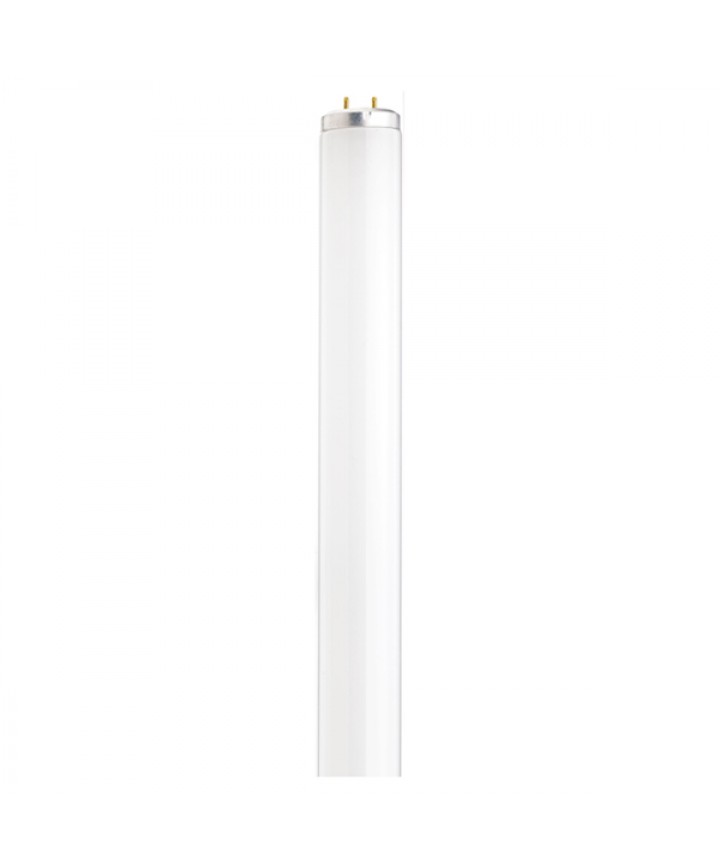 Satco S6611 Satco F40/D30 40 Watt T12 48 inch Medium Bi Pin Base ...